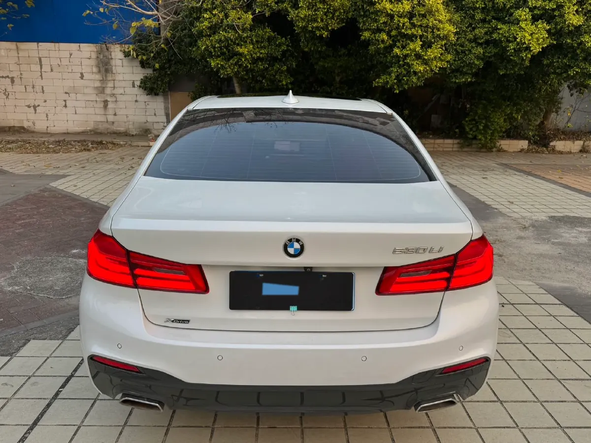 2020 BMW 5 Series 2.0T 252HP L4 8AT,autocango,china used car exporter,china ev exporter,chinese used car exporter,chinese used ev exporter