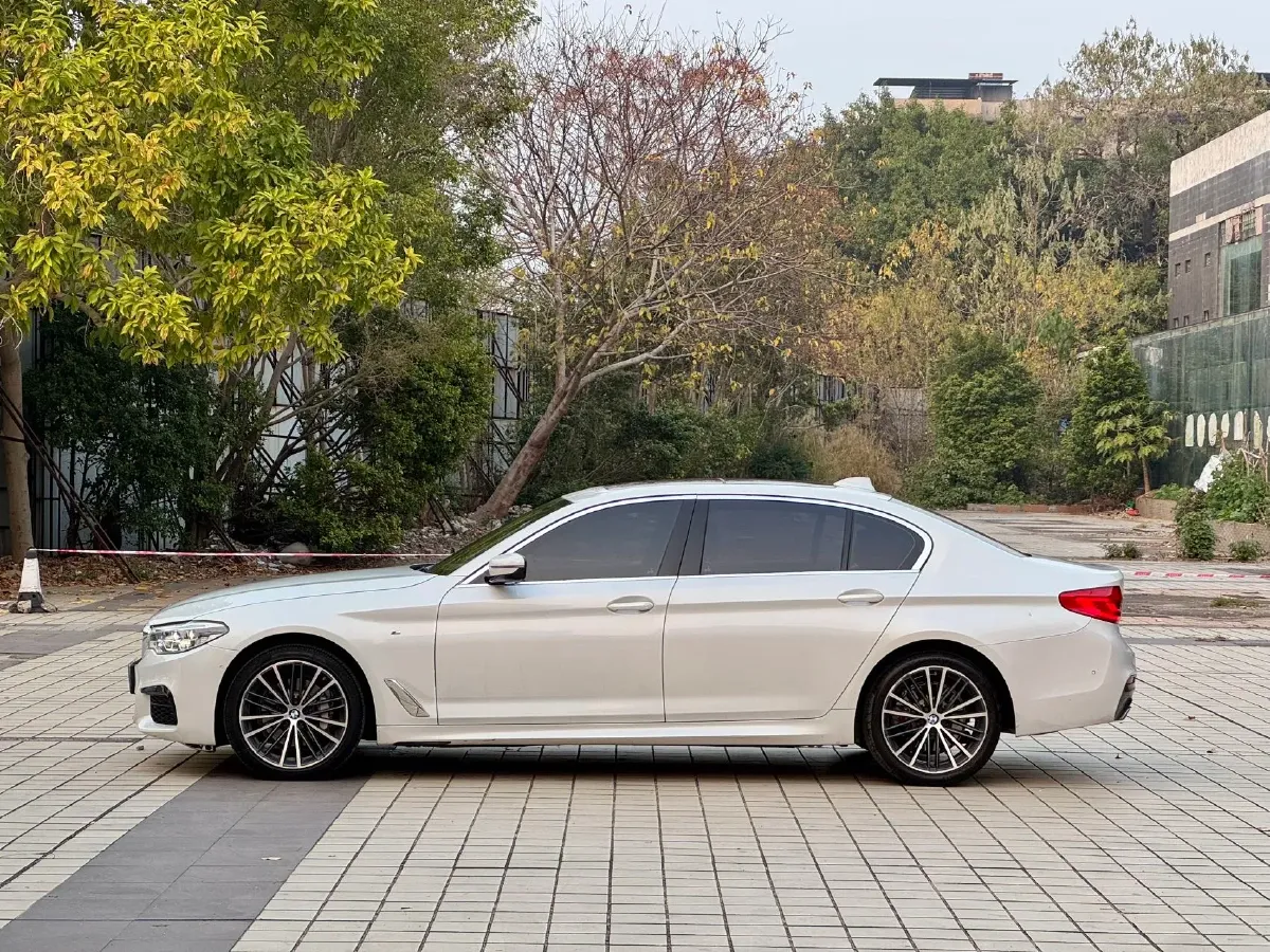2020 BMW 5 Series 2.0T 252HP L4 8AT,autocango,china used car exporter,china ev exporter,chinese used car exporter,chinese used ev exporter