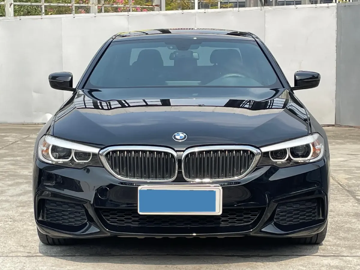 2019 BMW 5 Series 2.0T 184HP L4 8AT,autocango,china used car exporter,china ev exporter,chinese used car exporter,chinese used ev exporter