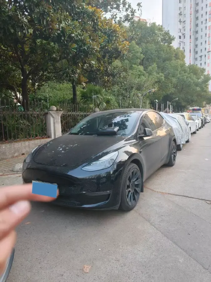 2022 Tesla Model Y BEV 60KWH