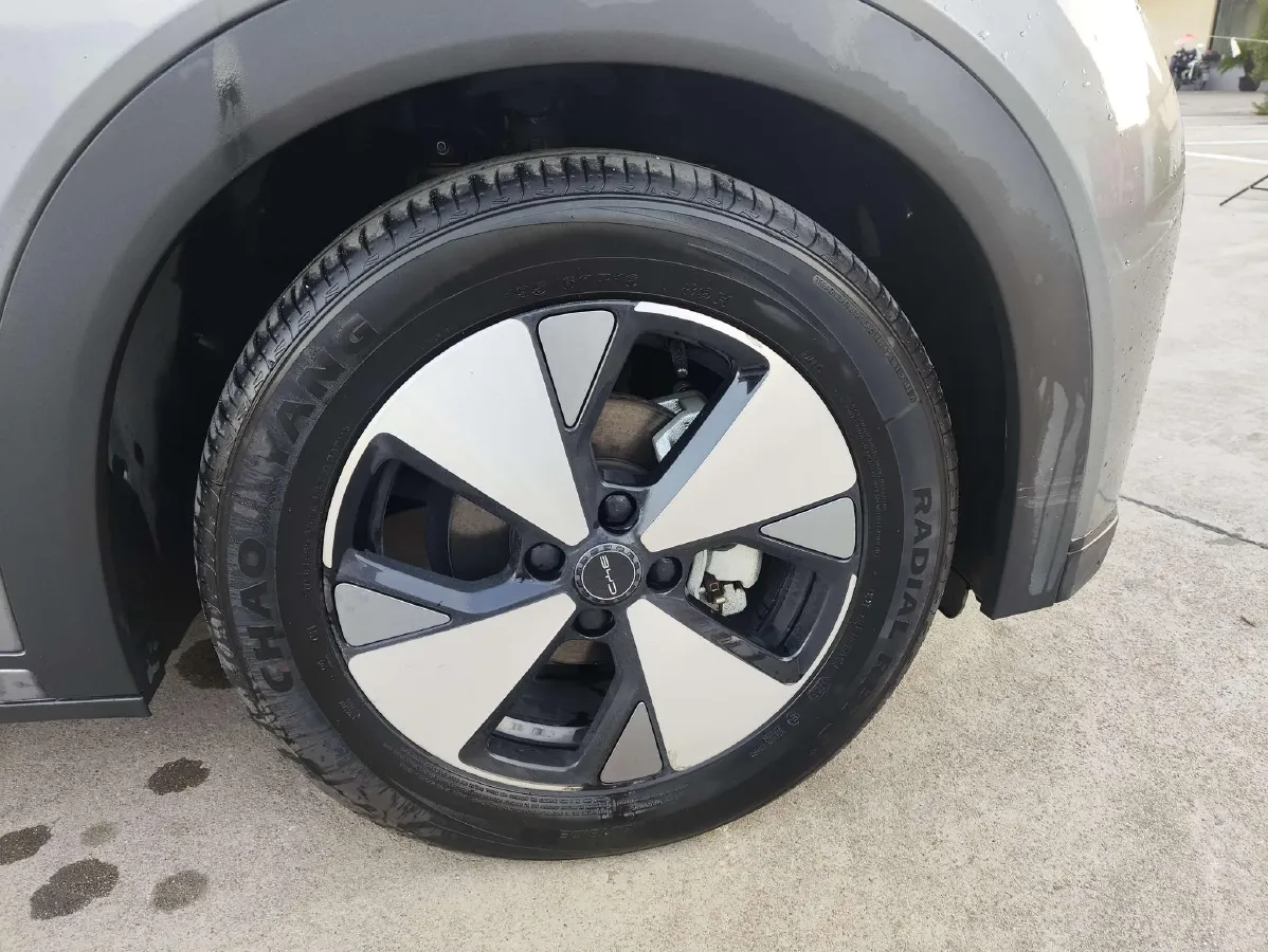 2023 BYD Dolphin BEV 44.928KWH,autocango,china used car exporter,china ev exporter,chinese used car exporter,chinese used ev exporter