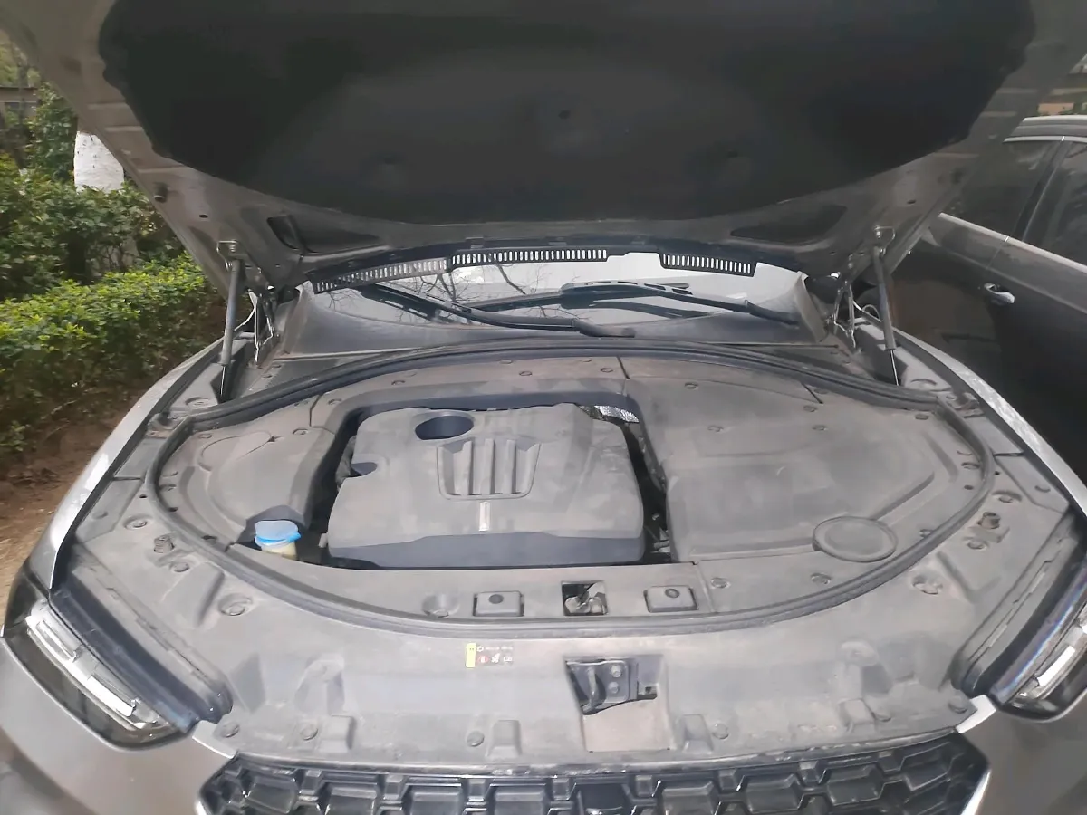 2017 WEY VV7 2.0T 234HP L4 7DCT,autocango,china used car exporter,china ev exporter,chinese used car exporter,chinese used ev exporter