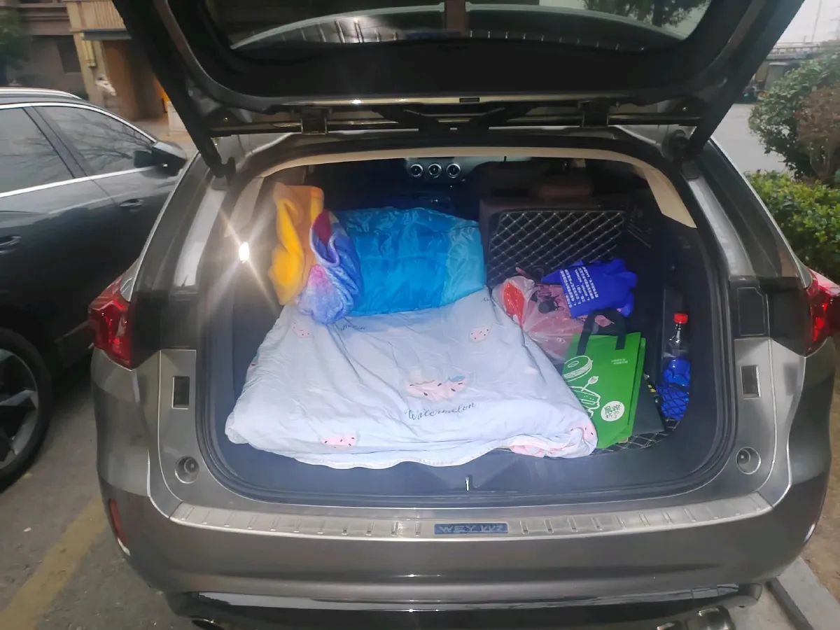 2017 WEY VV7 2.0T 234HP L4 7DCT,autocango,china used car exporter,china ev exporter,chinese used car exporter,chinese used ev exporter