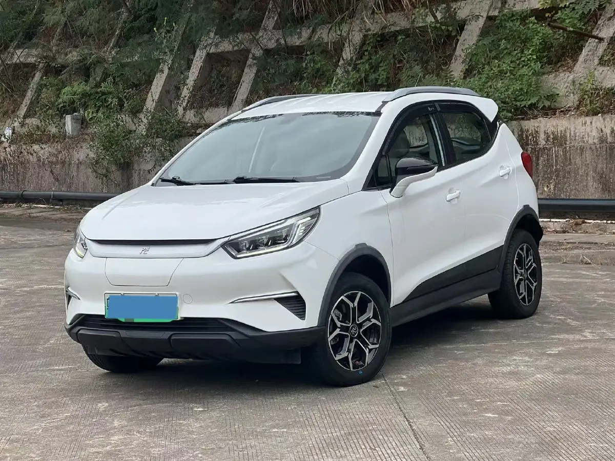 2021 BYD Yuan Pro BEV 50.1KWH