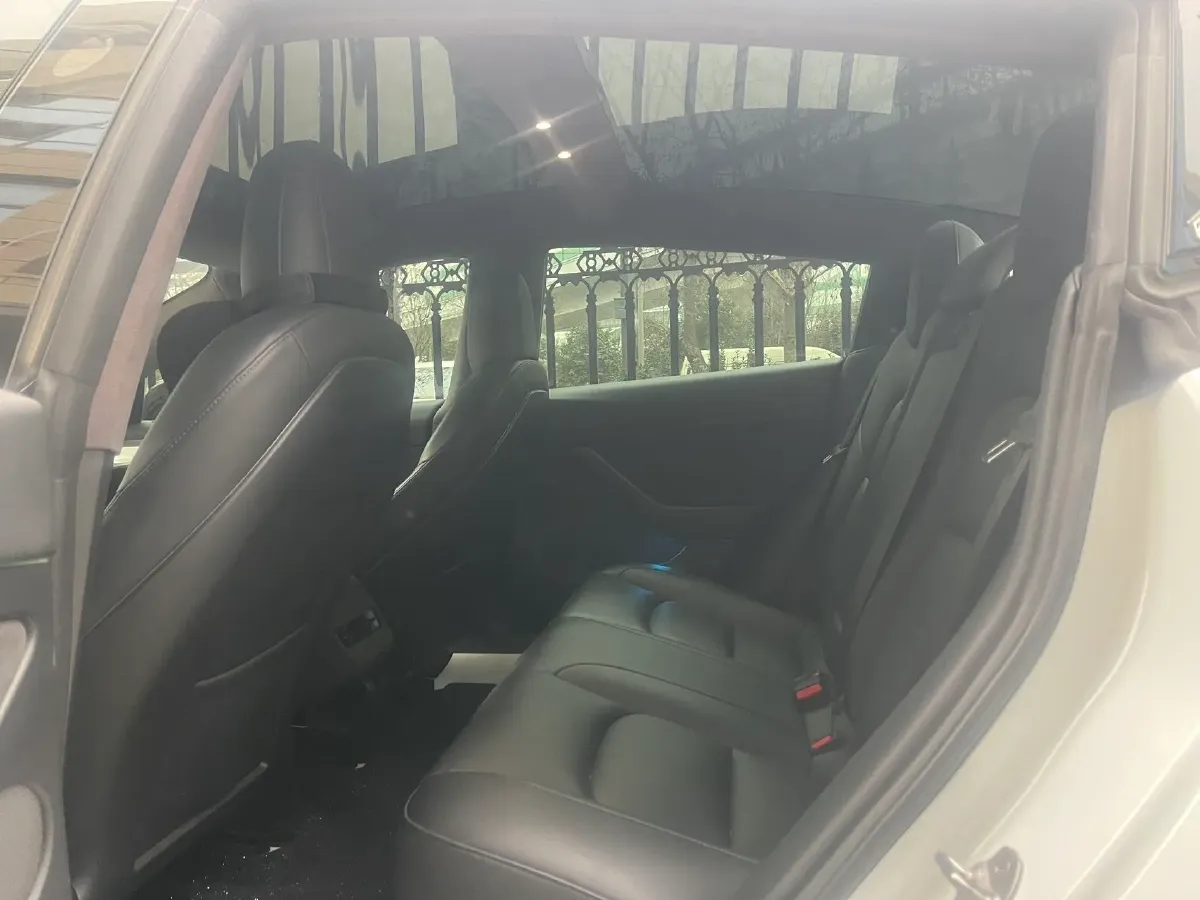 2021 Tesla Model 3 BEV 55KWH,autocango,china used car exporter,china ev exporter,chinese used car exporter,chinese used ev exporter