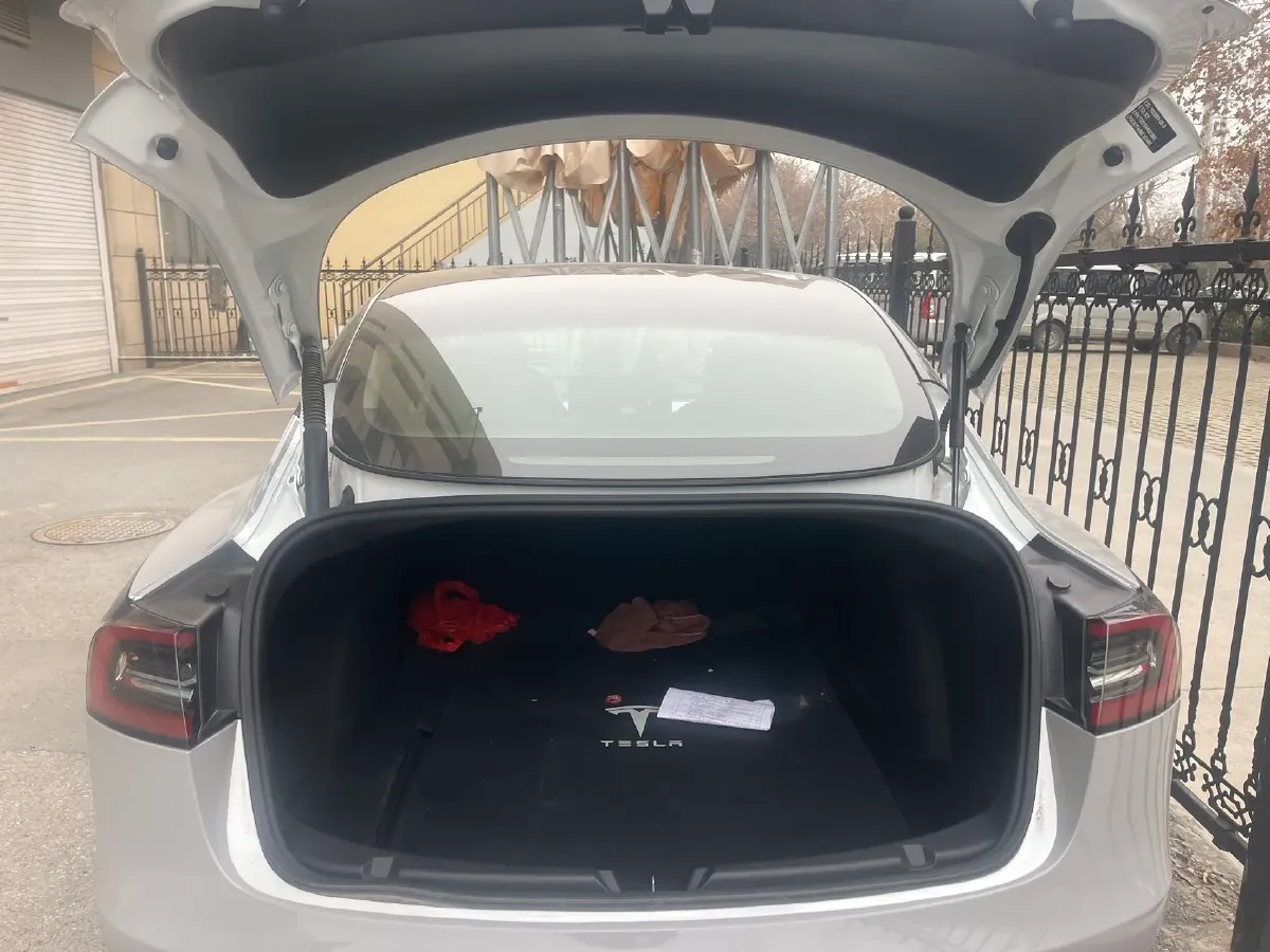 2021 Tesla Model 3 BEV 55KWH,autocango,china used car exporter,china ev exporter,chinese used car exporter,chinese used ev exporter