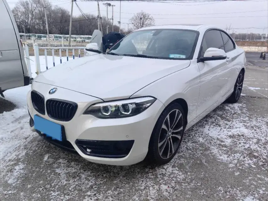 2019 BMW 2 Series 2.0T 184HP L4 8AT