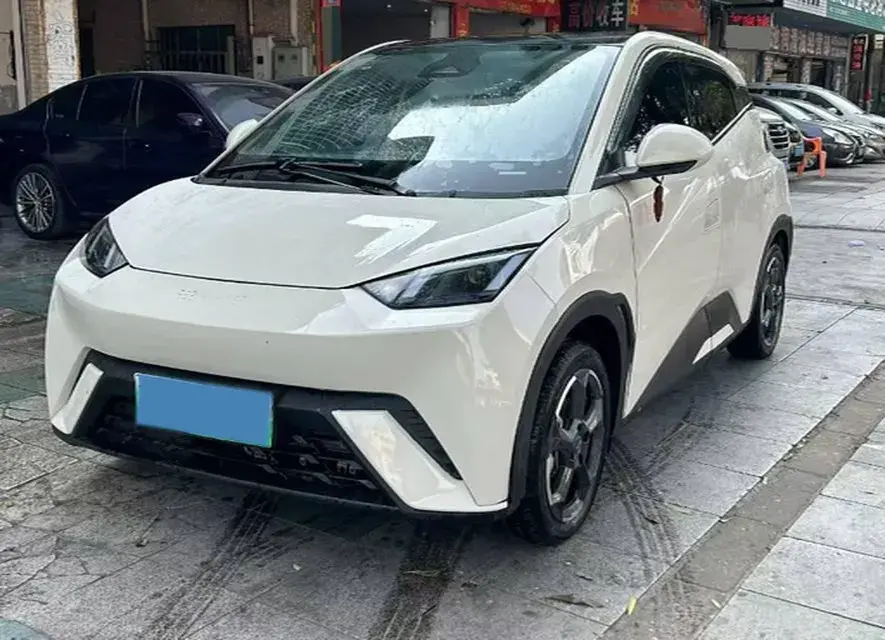 2023 BYD Yuan Pro BEV 38KWH