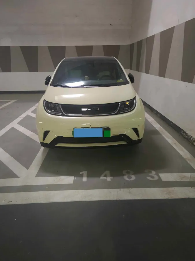 2023 BYD Dolphin BEV 44.928KWH,autocango,china used car exporter,china ev exporter,chinese used car exporter,chinese used ev exporter