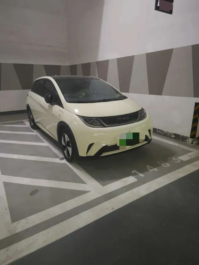 2023 BYD Dolphin BEV 44.928KWH,autocango,china used car exporter,china ev exporter,chinese used car exporter,chinese used ev exporter