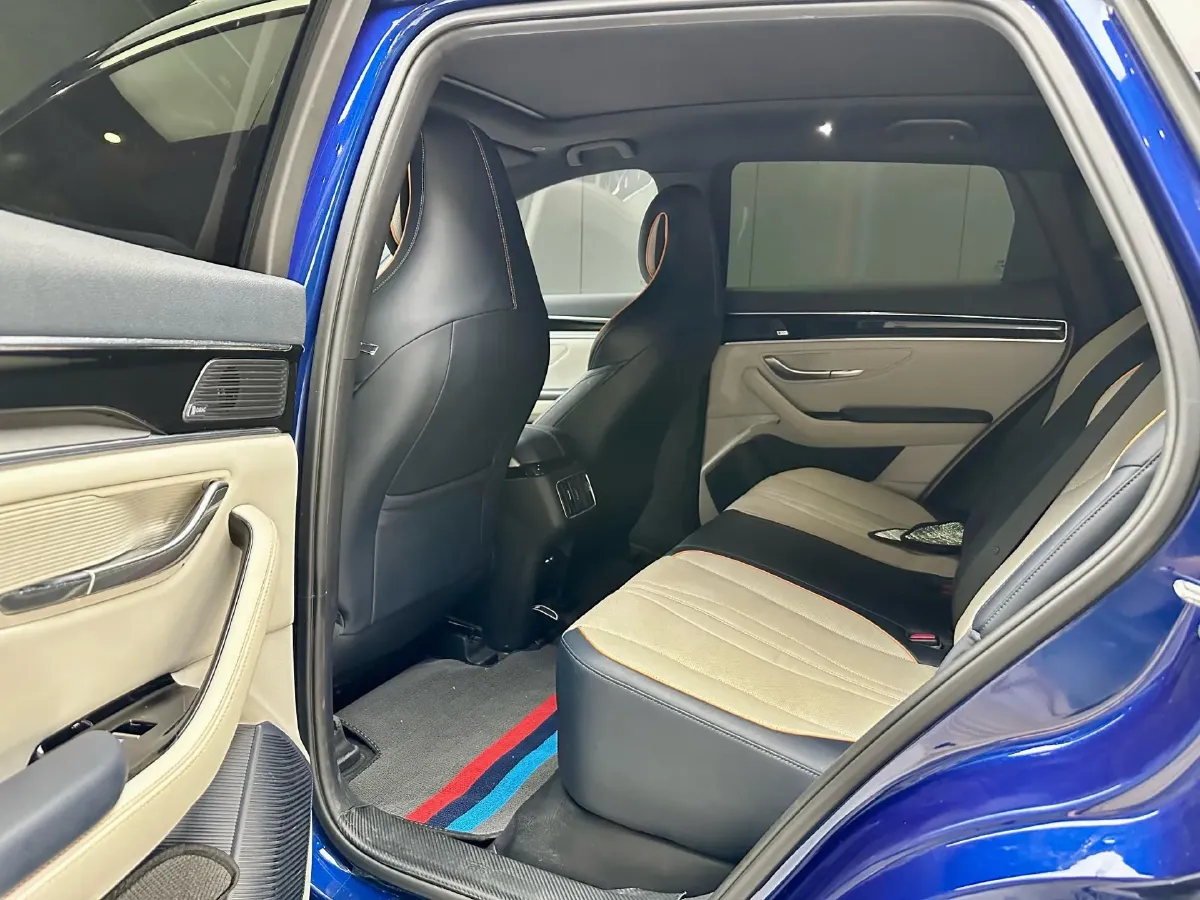 2021 SRM Sea Lion EV BEV 41.86KWH,autocango,china used car exporter,china ev exporter,chinese used car exporter,chinese used ev exporter