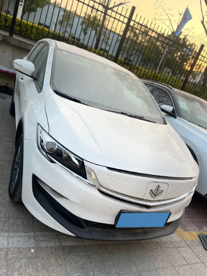 2025 Livan 8 BEV 50.4KWH,autocango,china used car exporter,china ev exporter,chinese used car exporter,chinese used ev exporter