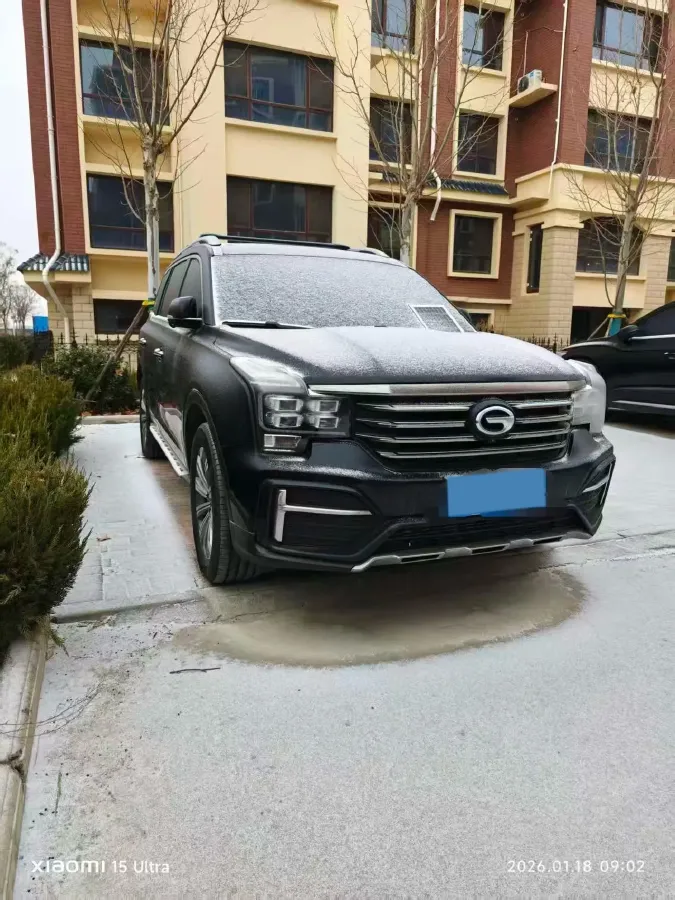 2020 GAC Trumpchi GS8 2.0T 252HP L4 6AT,autocango,china used car exporter,china ev exporter,chinese used car exporter,chinese used ev exporter