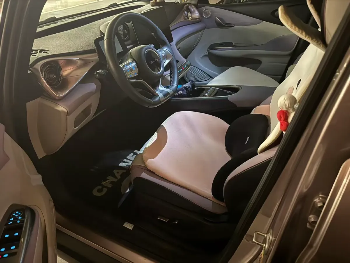 2021 BYD e2 BEV 43.2KWH,autocango,china used car exporter,china ev exporter,chinese used car exporter,chinese used ev exporter