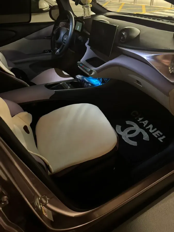 2021 BYD e2 BEV 43.2KWH,autocango,china used car exporter,china ev exporter,chinese used car exporter,chinese used ev exporter