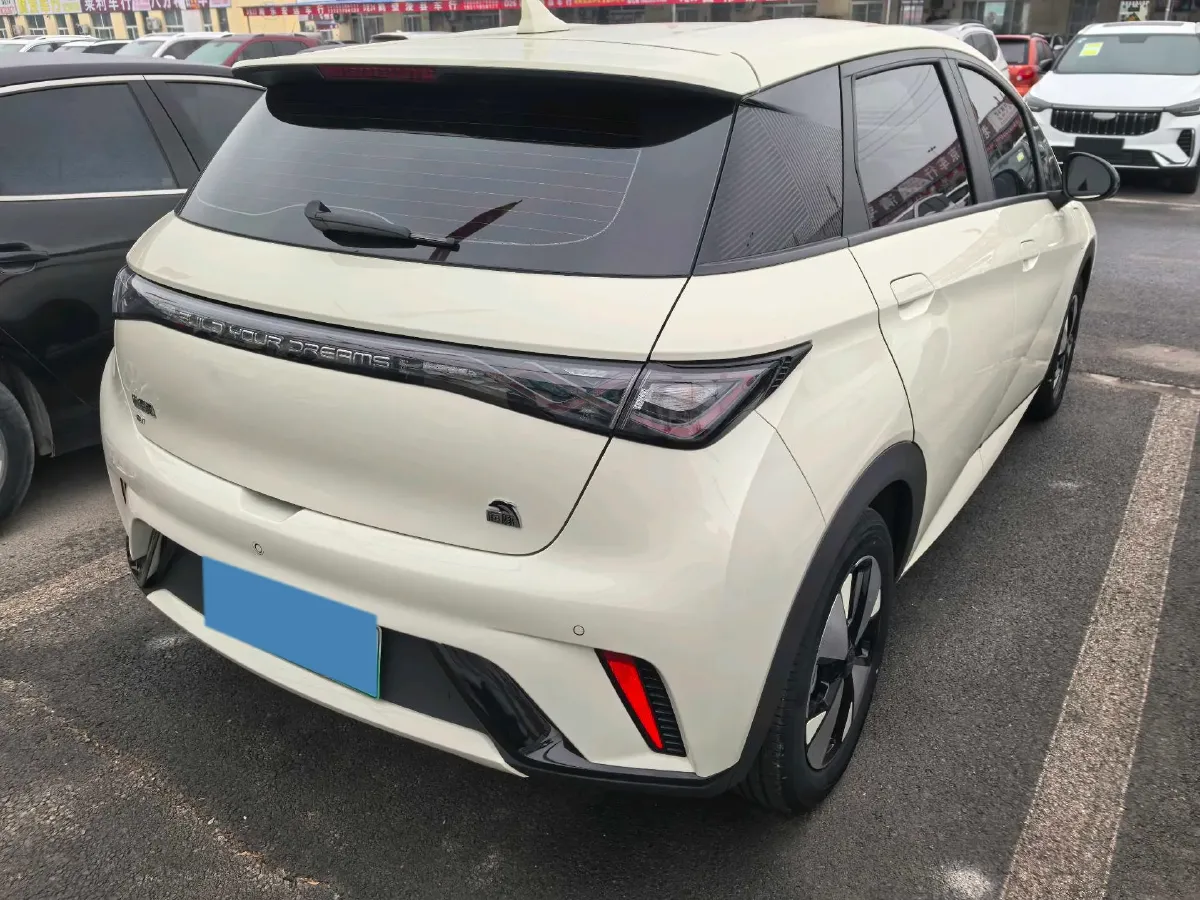 2023 BYD Dolphin BEV 44.928KWH,autocango,china used car exporter,china ev exporter,chinese used car exporter,chinese used ev exporter