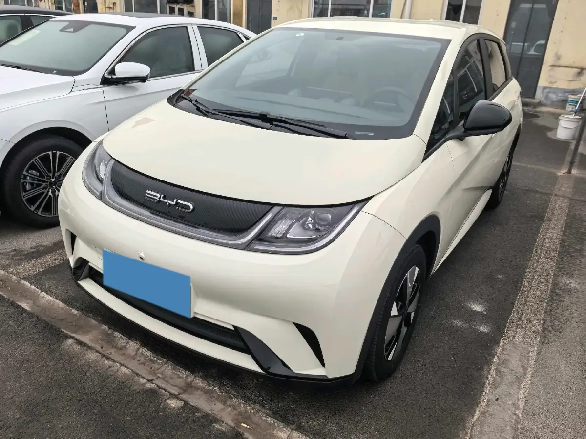 2023 BYD Dolphin BEV 44.928KWH
