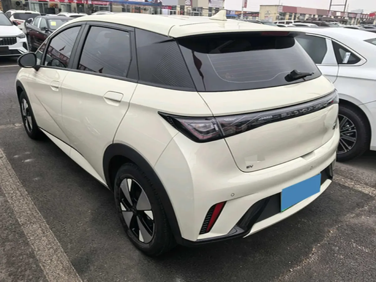 2023 BYD Dolphin BEV 44.928KWH,autocango,china used car exporter,china ev exporter,chinese used car exporter,chinese used ev exporter