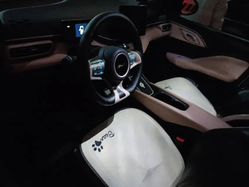 2023 BYD Seagull BEV 30.08KWH,autocango,china used car exporter,china ev exporter,chinese used car exporter,chinese used ev exporter