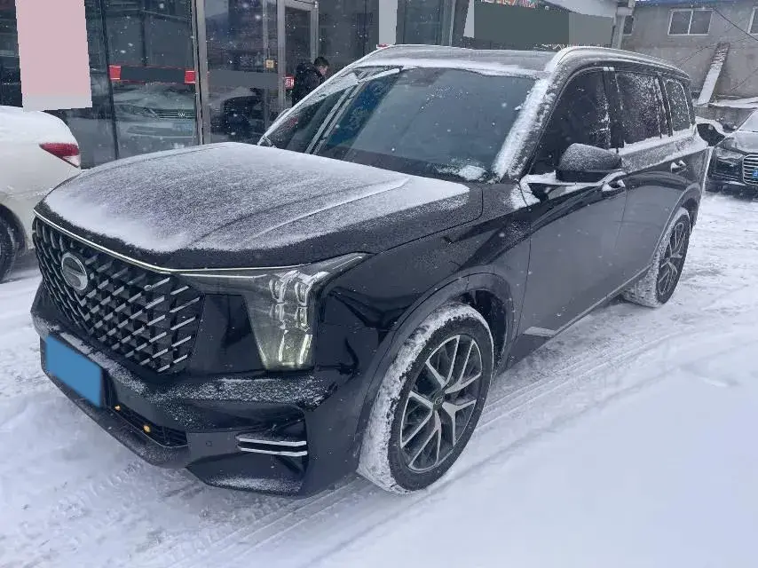 2022 GAC Trumpchi GS8 2.0T 252HP L4 8AT