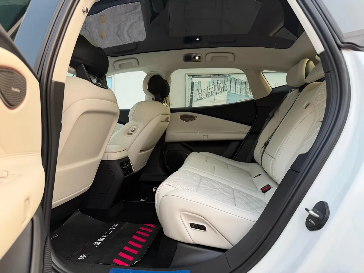 2025 LYNK&CO 10 EM-P 1.5T 163HP L4 3DHT PHEV,autocango,china used car exporter,china ev exporter,chinese used car exporter,chinese used ev exporter