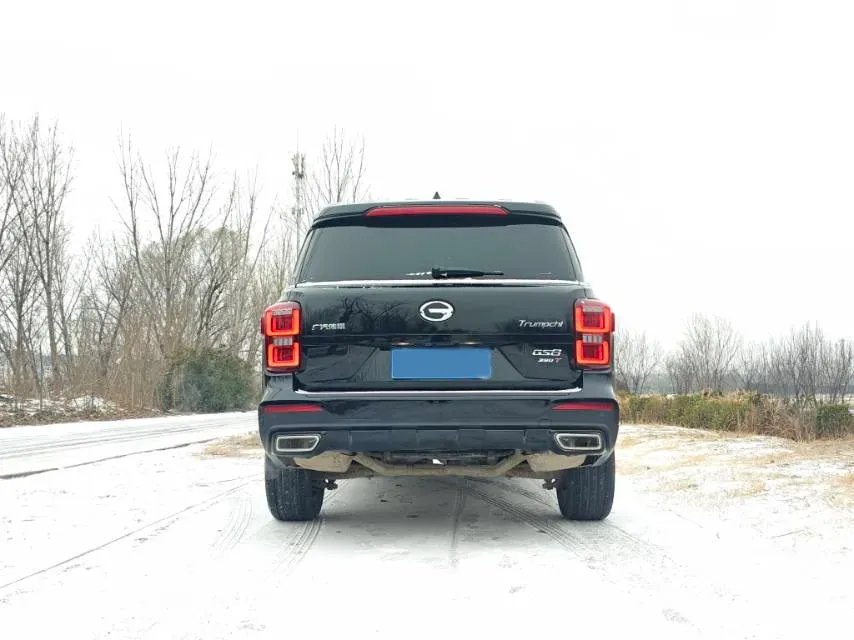 2021 GAC Trumpchi GS8 2.0T 252HP L4 6AT,autocango,china used car exporter,china ev exporter,chinese used car exporter,chinese used ev exporter