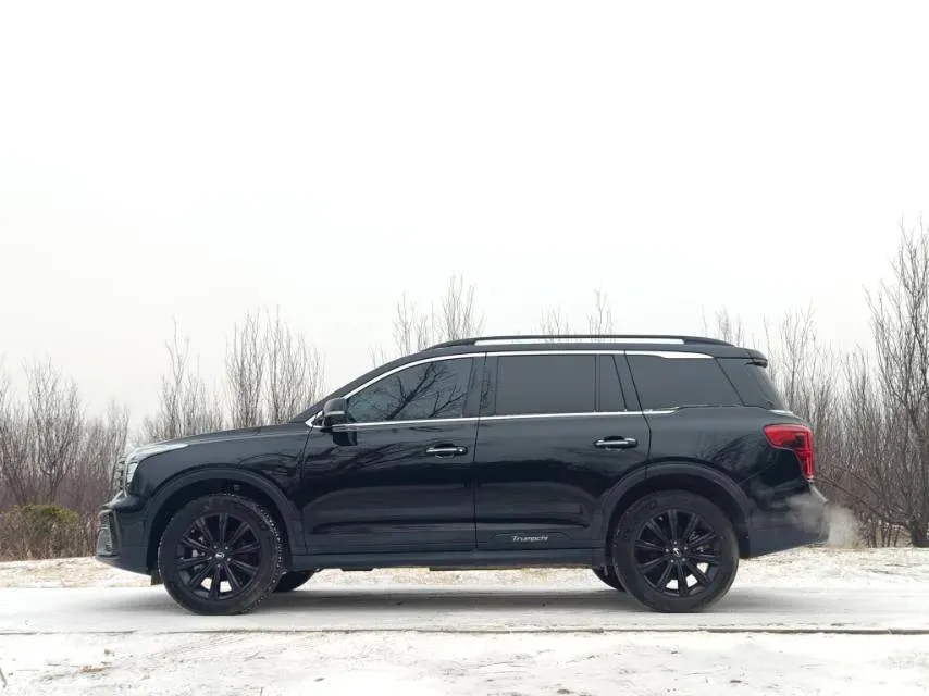 2021 GAC Trumpchi GS8 2.0T 252HP L4 6AT,autocango,china used car exporter,china ev exporter,chinese used car exporter,chinese used ev exporter