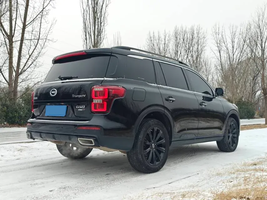 2021 GAC Trumpchi GS8 2.0T 252HP L4 6AT,autocango,china used car exporter,china ev exporter,chinese used car exporter,chinese used ev exporter