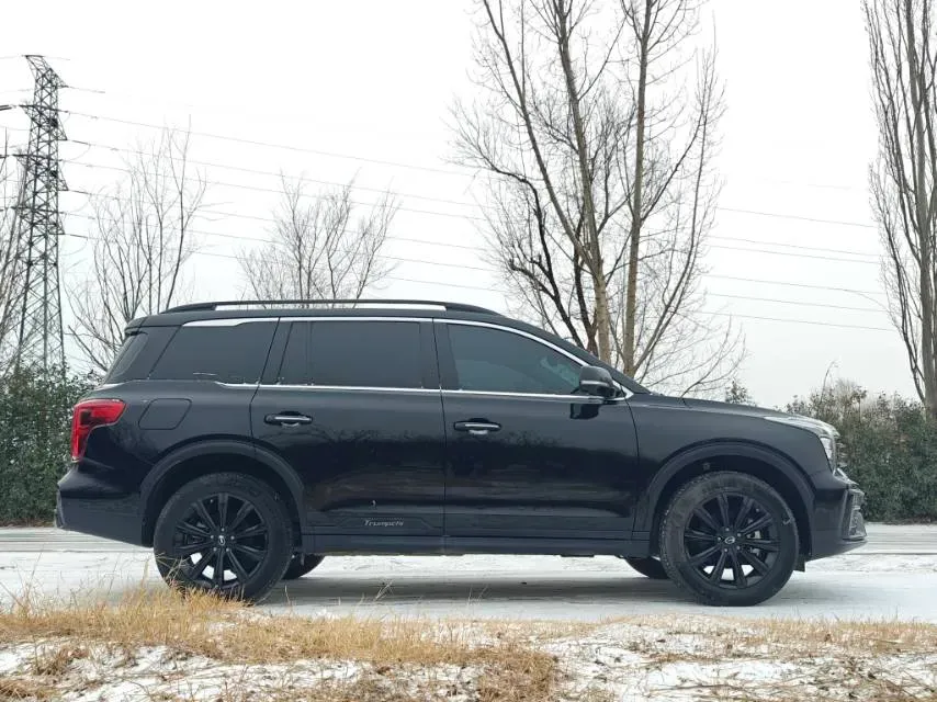 2021 GAC Trumpchi GS8 2.0T 252HP L4 6AT,autocango,china used car exporter,china ev exporter,chinese used car exporter,chinese used ev exporter