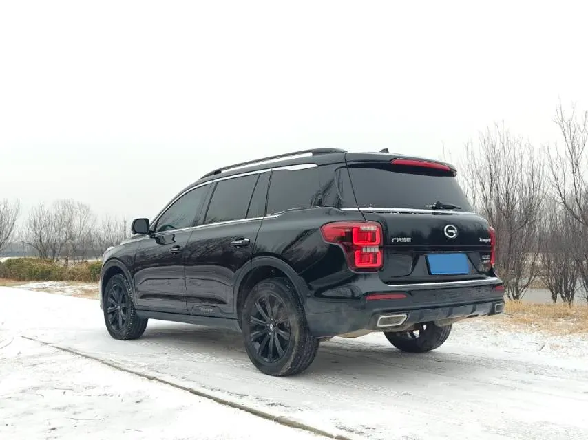 2021 GAC Trumpchi GS8 2.0T 252HP L4 6AT,autocango,china used car exporter,china ev exporter,chinese used car exporter,chinese used ev exporter