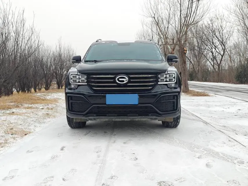 2021 GAC Trumpchi GS8 2.0T 252HP L4 6AT,autocango,china used car exporter,china ev exporter,chinese used car exporter,chinese used ev exporter