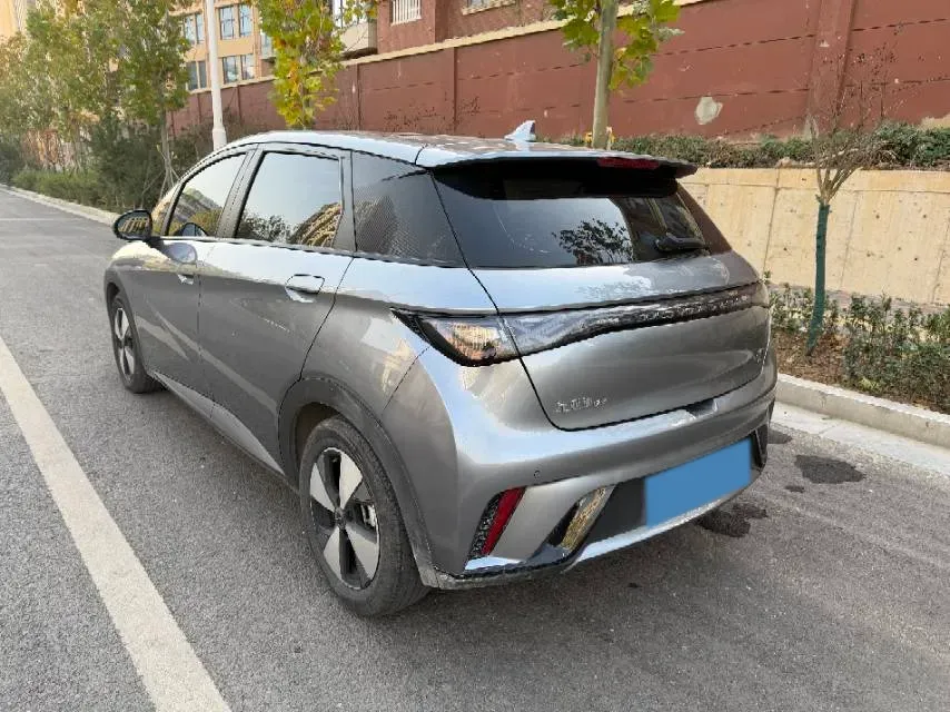 2023 BYD Dolphin BEV 44.928KWH,autocango,china used car exporter,china ev exporter,chinese used car exporter,chinese used ev exporter