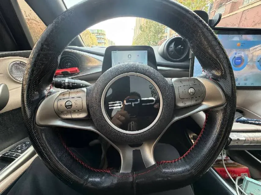 2023 BYD Dolphin BEV 44.928KWH,autocango,china used car exporter,china ev exporter,chinese used car exporter,chinese used ev exporter