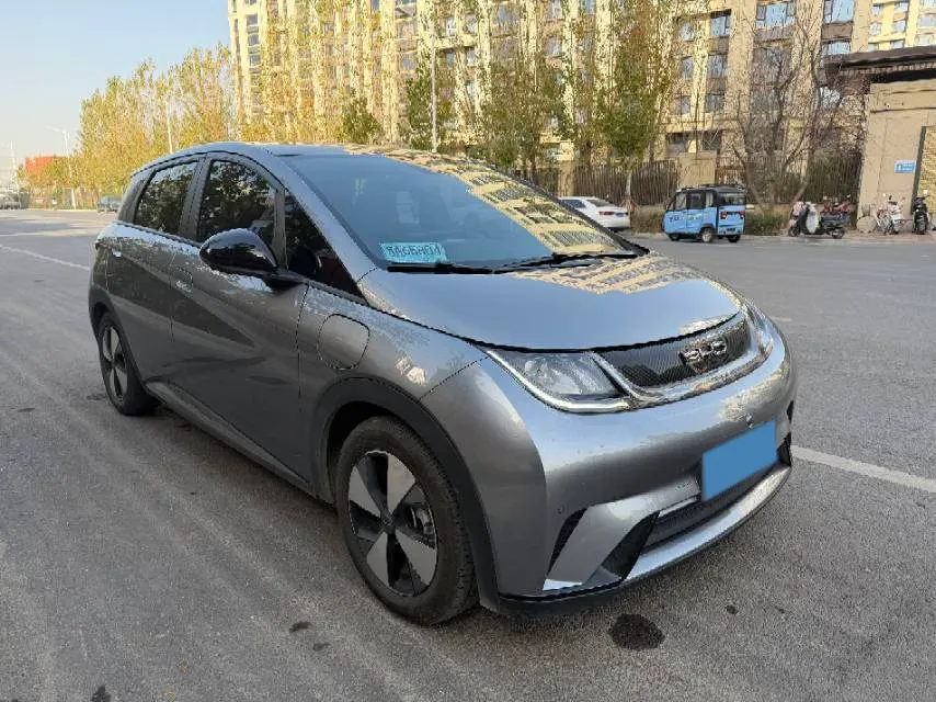 2023 BYD Dolphin BEV 44.928KWH,autocango,china used car exporter,china ev exporter,chinese used car exporter,chinese used ev exporter