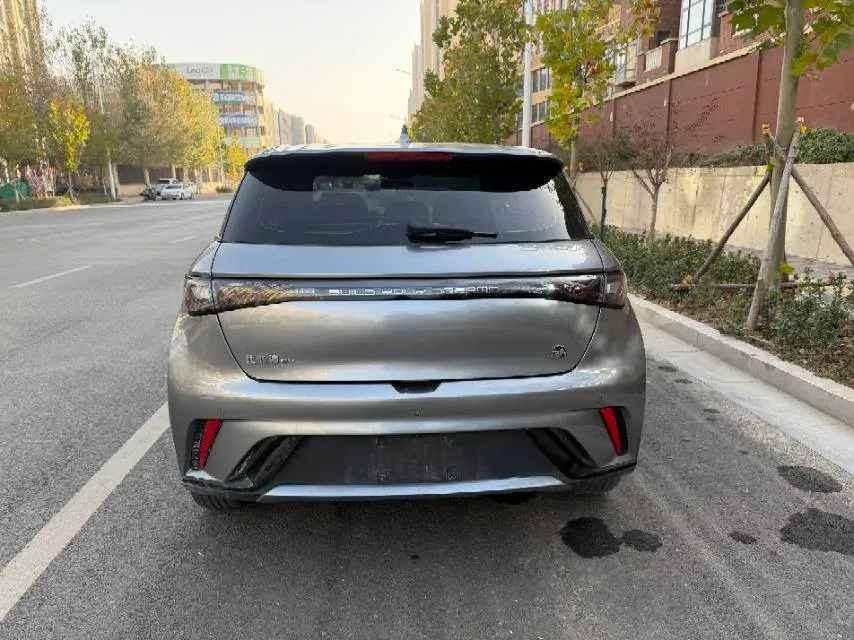 2023 BYD Dolphin BEV 44.928KWH,autocango,china used car exporter,china ev exporter,chinese used car exporter,chinese used ev exporter