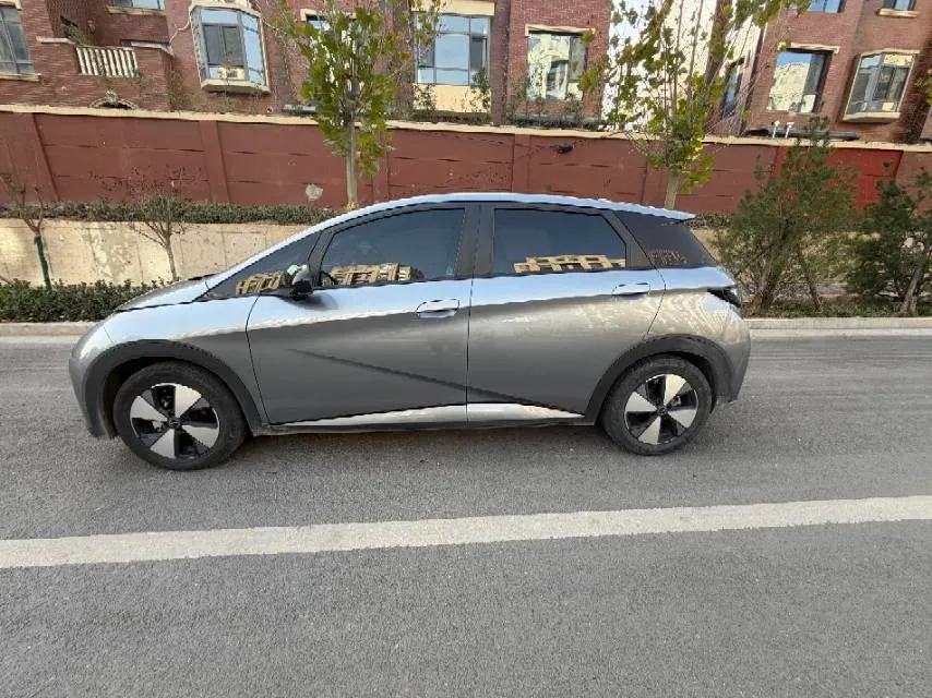 2023 BYD Dolphin BEV 44.928KWH,autocango,china used car exporter,china ev exporter,chinese used car exporter,chinese used ev exporter