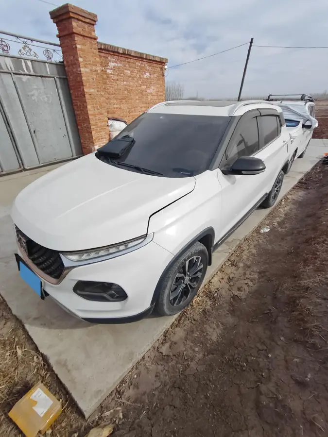 2019 BaoJun 510 1.5L 112HP L4 6MT