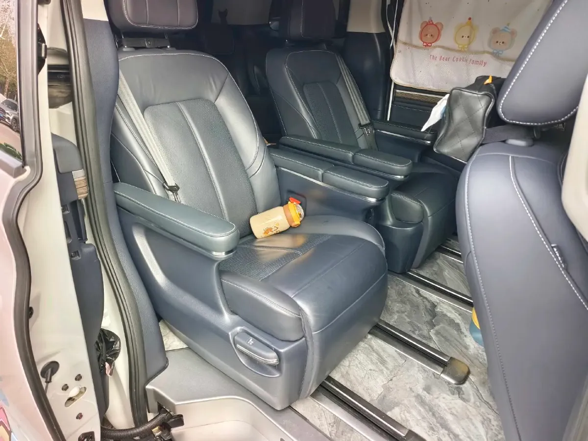 2021 GAC Trumpchi M8 2.0T 252HP L4 8AT,autocango,china used car exporter,china ev exporter,chinese used car exporter,chinese used ev exporter