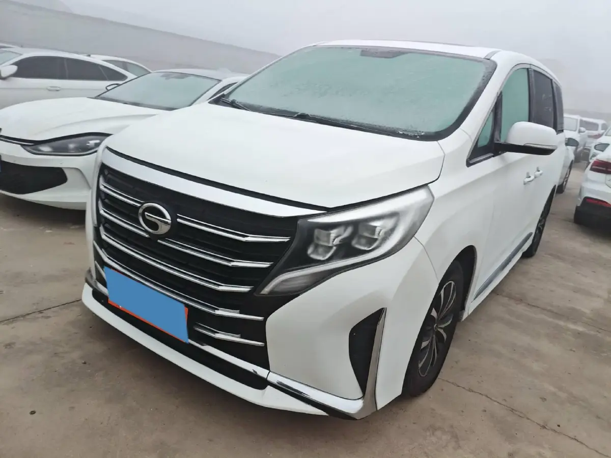 2021 GAC Trumpchi M8 2.0T 252HP L4 8AT