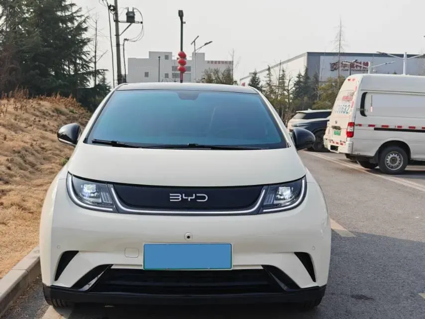 2024 BYD Dolphin BEV 44.928KWH,autocango,china used car exporter,china ev exporter,chinese used car exporter,chinese used ev exporter