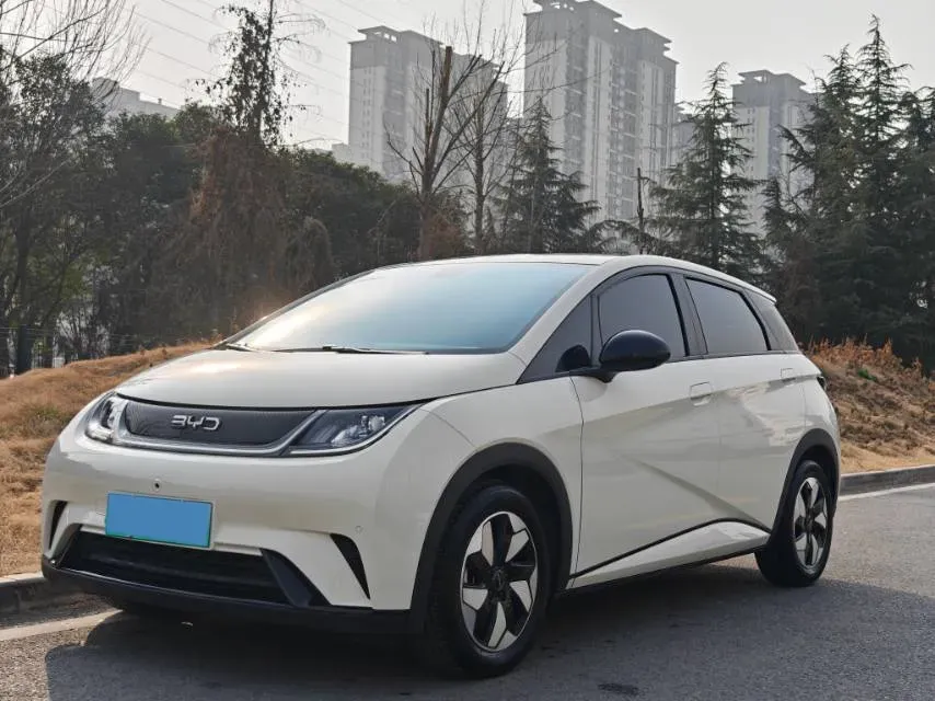 2024 BYD Dolphin BEV 44.928KWH,autocango,china used car exporter,china ev exporter,chinese used car exporter,chinese used ev exporter