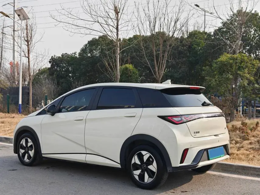 2024 BYD Dolphin BEV 44.928KWH,autocango,china used car exporter,china ev exporter,chinese used car exporter,chinese used ev exporter