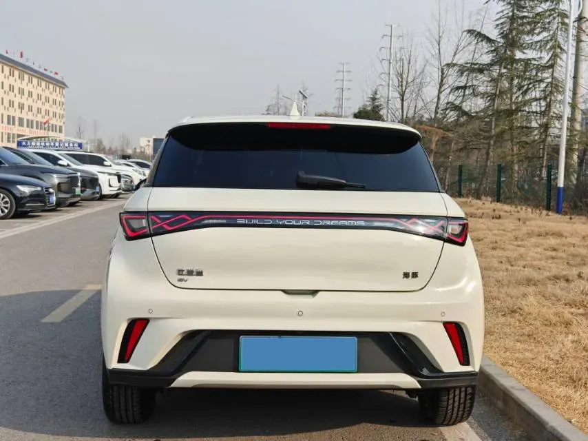 2024 BYD Dolphin BEV 44.928KWH,autocango,china used car exporter,china ev exporter,chinese used car exporter,chinese used ev exporter