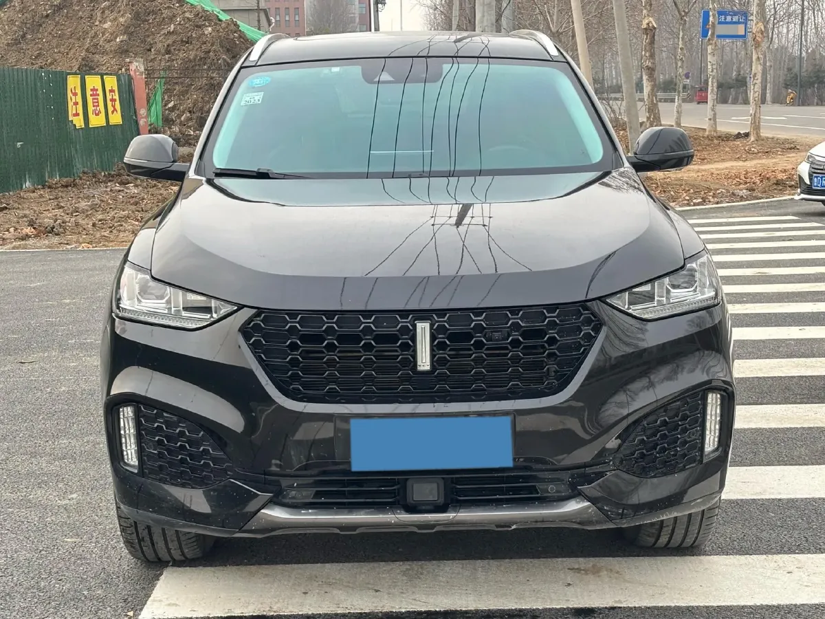 2019 WEY VV6 2.0T 224HP L4 7DCT,autocango,china used car exporter,china ev exporter,chinese used car exporter,chinese used ev exporter