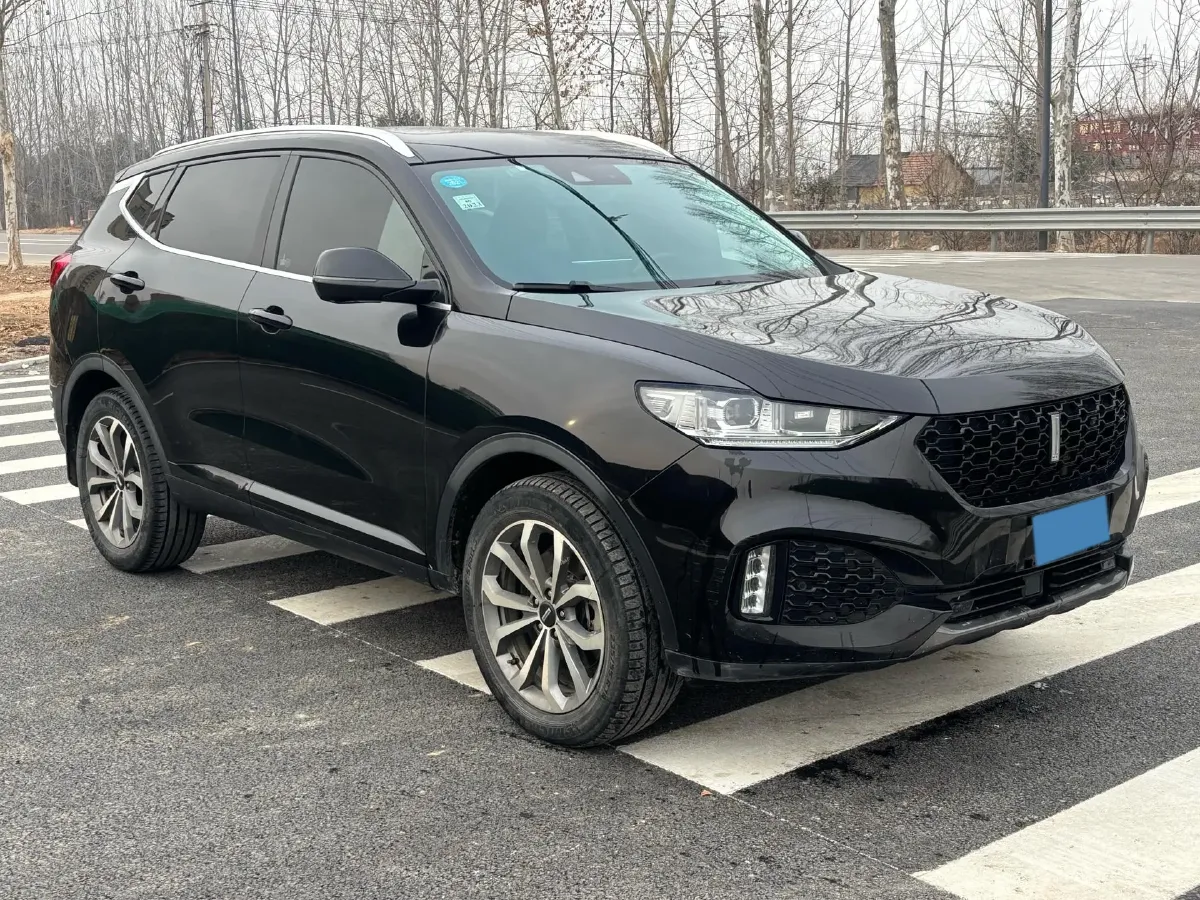 2019 WEY VV6 2.0T 224HP L4 7DCT,autocango,china used car exporter,china ev exporter,chinese used car exporter,chinese used ev exporter