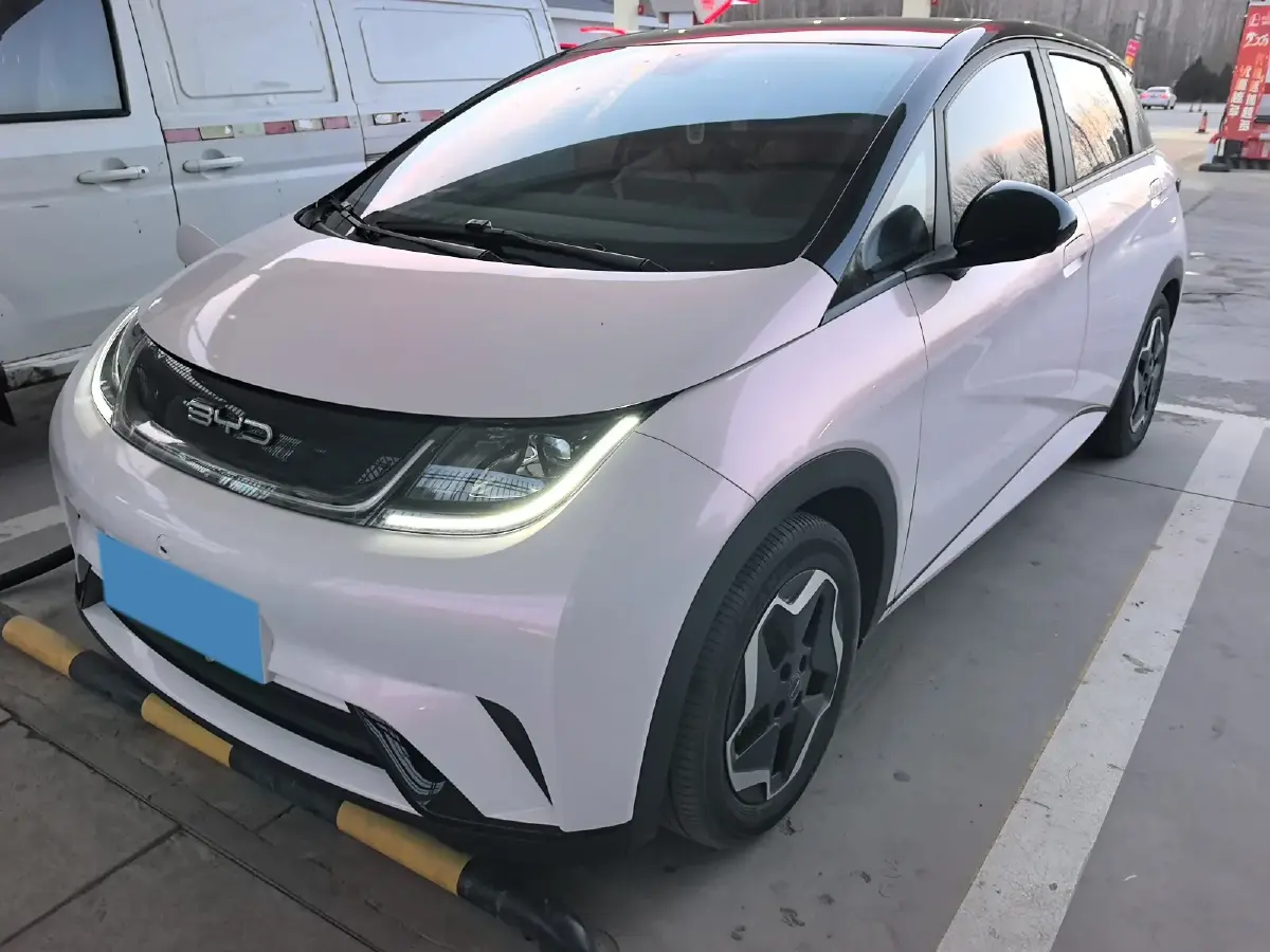 2021 BYD Yuan Pro BEV 50.1KWH