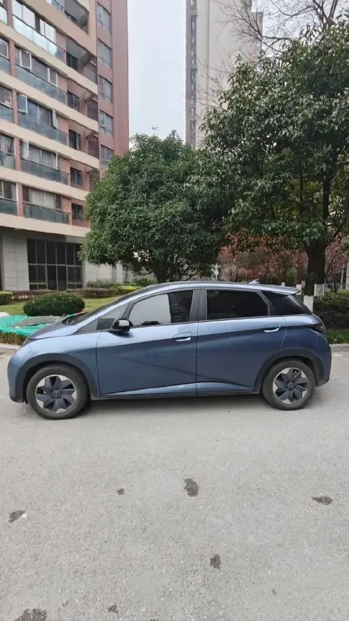 2024 BYD Dolphin BEV 44.928KWH,autocango,china used car exporter,china ev exporter,chinese used car exporter,chinese used ev exporter