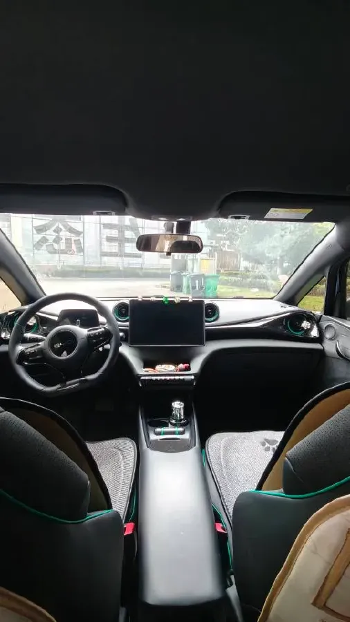 2024 BYD Dolphin BEV 44.928KWH,autocango,china used car exporter,china ev exporter,chinese used car exporter,chinese used ev exporter