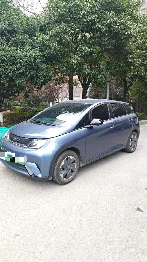 2024 BYD Dolphin BEV 44.928KWH