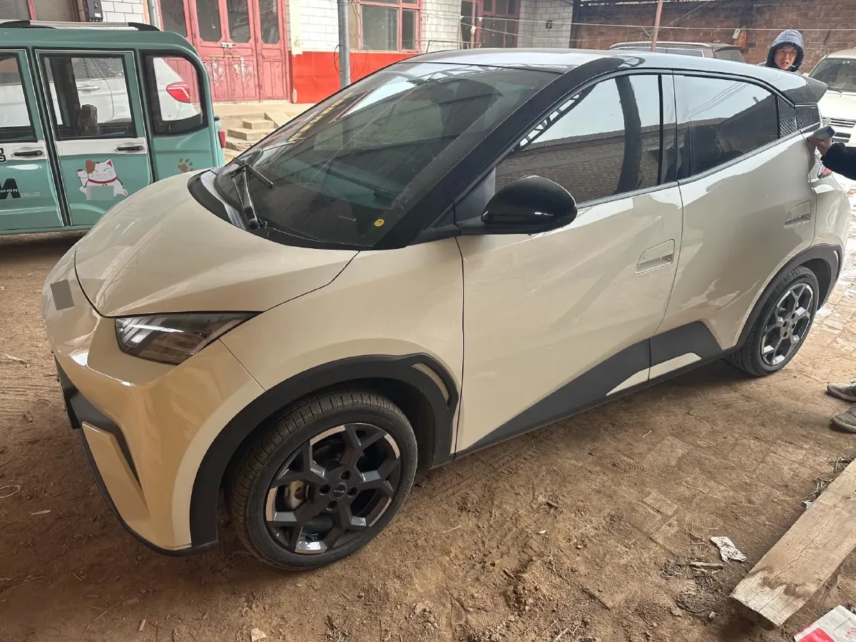 2025 BYD Seagull BEV 30.08KWH,autocango,china used car exporter,china ev exporter,chinese used car exporter,chinese used ev exporter